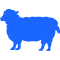 羊养殖